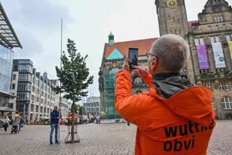 Wie ist der Chemnitzer Marktbaum durch das Kulturhauptstadt-Jahr gekommen? - Alexander Neumeister (links) mit einer sieben Meter langen Nivellierlatte neben dem Marktbaum. Sein Chef Detlef Wuttke hält die Aktion mit dem Handy fest.
