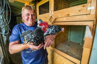 Wie Japanische Gartenhühner im Erzgebirge die Schnecken fernhalten - Dieter Dehler züchtet die Zwerghühner in seinem Garten Aue.