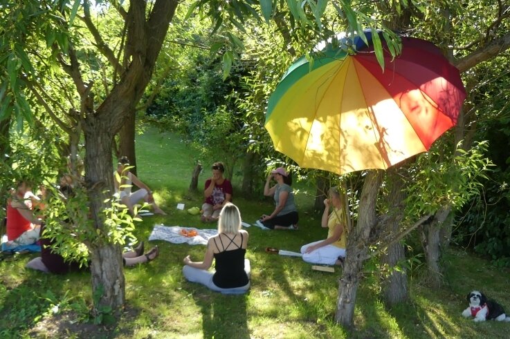 Wie man mit mehr Gelassenheit dem Burnout vorbeugen kann - Yoga auf der Wiese unter Bäumen an der frischen Luft. Damit Jana Knöfel (rechts) individuell auf jeden einzelnen eingehen kann, ist die Teilnehmerzahl auf sechs bis acht Personen begrenzt.