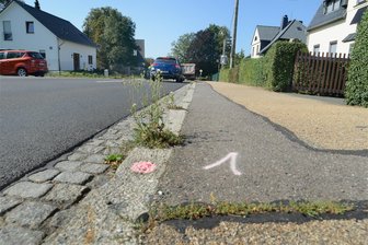 Wie Neustadts Straßen besser werden sollen - Diese Risse in den Straßen von Neustadt sollen geschlossen werden.