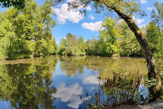 Wie Schüler Reichenbach sehen - Foto-Schau im City-Treff - An der Idylle des Reichenbacher Stadtparks kommen auch die Schüler des Foto-Clubs nicht vorbei.