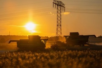 Wie sich die Trockenheit auf die Ernte auswirkt - Erntearbeiten bis Sonnenuntergang gab es in den vergangenen Wochen in der Region häufig, so auf diesem Rapsfeld bei Oberlungwitz. 