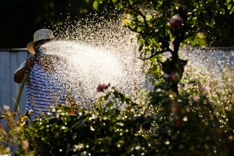 Wie überlebt der Garten die Trockenheit? Vier Tipps vom Freiberger Wasserforscher - Wie bleibt der Garten vor Trockenheit verschont? Conrad Jackisch gibt einige Tipps.
