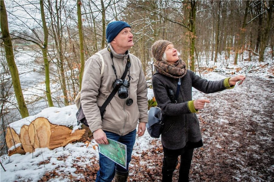Wieder Baumfällarbeiten in Lichtenwalde: Wie sicher sind die Wanderwege an der Zschopau? - Naturschützer Lutz Röder und Anwohnerin Kathi Schmidt-Stagge kritisieren die Baumfällarbeiten in Lichtenwalde. 