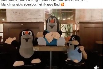 Wiedervereint: Dieb bringt "Mauli" zurück zur Stawi - 