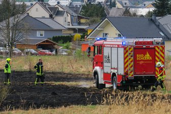 Wiese in Schneeberg geht in Flammen auf -