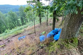 Wilde Müllkippe regt Vogtländer auf - An der Kreisstraße von Unterhermsgrün nach Ebersbach haben Unbekannte Blaue Säcke abgeladen.