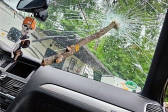 Wildenfels: Ast durchbohrt Frontscheibe von Zirkusauto - Ein Ast des umgestürzten Baumes hat mit großer Wucht die Frontscheibe eines Autos der Leute vom Projektcircus durchbohrt. 