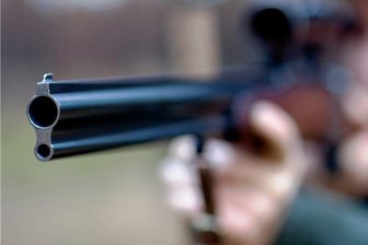 Wilderei bei Morgenröthe-Rautenkranz: Unbekannte töten Hirschkühe - 