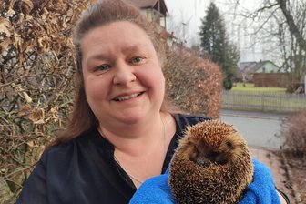 Wildtierhilfe im Vogtland: Wo Frau Haase Igel gesundmacht - Ina Haase mit einem Igel, der am Auge verletzt ist.