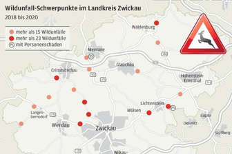 Wildunfälle: Das sind die Schwerpunkte im Landkreis - 
