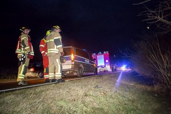 Wildunfall auf der S 255 - Der Fahrer konnte dem Wildschwein nicht rechtzeitig ausweichen.