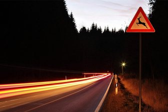Wildunfall bei Lengenfeld: Zwei Autos beschädigt - Einen Wildunfall hat es bei Lengenfeld gegeben. Die Polizei mahnt besonders in der Dämmerung zur Vorsicht.