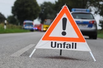 Wildunfall bei Syrau: Hoher Sachschaden an Unfallwagen - Einen Wildunfall gab es am Dienstagabend nahe Syrau.