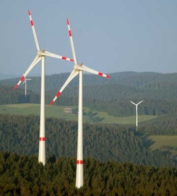 Windenergie: Kreistag will Waldflächen als harte Tabuzone - Windanlagen im Wald - so wie hier in Baden-Württemberg - soll es im Landkreis nicht geben. 