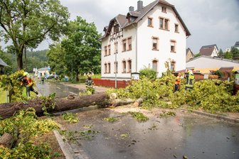 Windhose in Einsiedel: Bäume stürzen auch auf Gymnasium - Bei dem Gewitter am Nachmittag sind an der Einsiedler Hauptstraße mehrere Bäume umgefallen.
