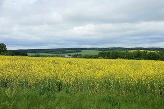 Windkraft auf dem vogtländischen Fronberg? Starker Gegenwind auch aus Reumtengrün - Der Fronberg-Blick vom Auerbacher Bendelsteingebiet über Reumtengrün. So soll es bleiben, finden alle Anrainer.