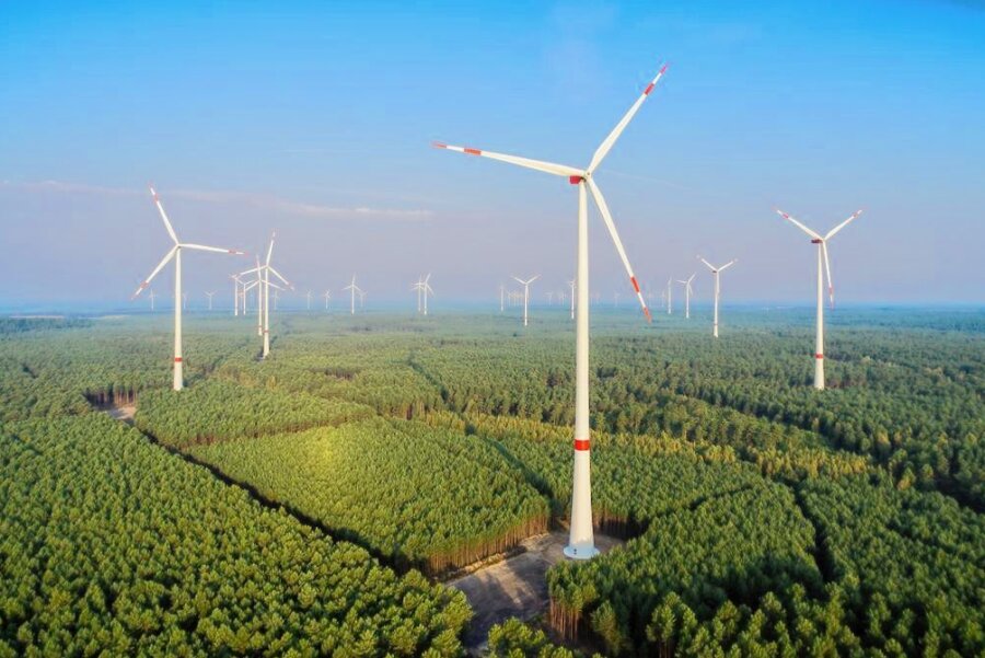 Windkraft im Wald: Olbernhau forciert Bau neuer Mega-Anlagen - Andernorts gibt es sie bereits: Windräder im Wald. Der Freistaat Sachsen ermöglicht den Bau nun ebenfalls. Olbernhau will eine Vorreiterrolle einnehmen. 