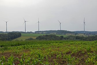 Windrad-Pläne in Glauchau: Behörde kommt vor Ort und stellt sich den Fragen - Bei Lobsdorf, ein Nachbarort von Niederlungwitz, stehen bereits riesige Windräder.