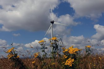 Windrad-Pläne in Montanregion Erzgebirge: Report warnt vor Verlust von Welterbe-Status - Windrad im Erzgebirge: Könnte der weitere Ausbau der Windenergie den Titel als Unesco-Welterbe kosten? Ein Report heizt die Debatte an.