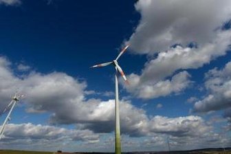 Windradpläne in Lengenfeld wackeln: Ornithologen finden Rotmilan und Schwarzstorch -