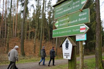 Windräder im Landschaftsschutzgebiet Werdauer Wald? - Der Werdauer Wald ist als Landschaftsschutzgebiet ausgewiesen. Doch laut Bundesgesetzen dürften hier trotzdem Windräder errichtet werden.