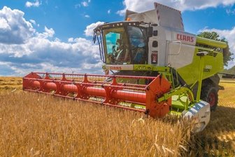 Wintergerste wird geerntet -