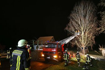 Wintergewitter: Blitz spaltet riesige Birke -