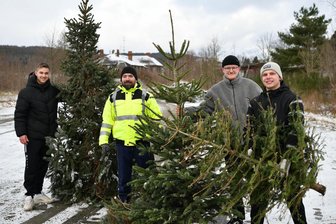 Wintergrillen in Wechselburg - Niklas Peters (v. l.), Sebastian Gebauer, Hannes Ludwig und Henning Schulze beim Einsammeln von Bäumen.