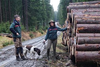 Winterliche Holzernte im oberen Vogtland - Der Großteil des Sägeholzes wird nach Bayern und Thüringen transportiert - Dieses gestapelte Holz im Wald zwischen Schöneck und der Talsperre Muldenberg ist bereit zur Abfuhr. Christina Strobel, hier mit ihrem Hund Drago, ist die Leiterin des Holzbüros im Forstbezirk Adorf und für den Verkauf der Hölzer zuständig. Links David Neubert, der Pressesprecher des Forstbezirkes.