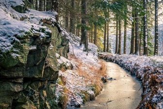 Winterwettbewerb vor Finale - 