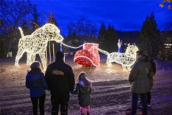 Winterzauber auch ohne Lumagica in Lichtenwalde: Wo diesen Winter Lichterparks entstehen - In der Nähe von Chemnitz kamen Familien vergangenen Winter ins Staunen. Eine Wiederholung des Winterzaubers ist schon angekündigt.