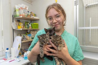 „Wir platzen aus allen Nähten“: Tierheim im Erzgebirge päppelt kranke Katzen wieder auf - Nathalie Wagner im Tierheim „Neu-Amerika“ mit den drei Kätzchen Samira, Savannah und Shadow. Sie stehen beispielhaft für etwa 40 Katzen, die zurzeit dort versorgt werden. Viele von ihnen sind krank.