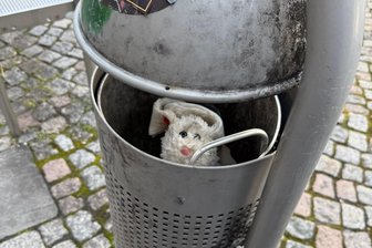 Wirbel um Findelhase „Hasilein“: Kuscheltier aus Zwickau sucht seinen Besitzer - Diesen Plüschhasen entdeckte ein Ehepaar aus Wilkau-Haßlau in einem Zwickauer Mülleimer – und nahm ihn kurzerhand mit nach Hause.