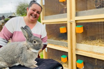 Wo 323 edle Langohren aus dem Erzgebirge unter die Lupe kommen - Sandra Herrmann aus Bernsbach und ihr Mann Thomas sind leidenschaftliche Kaninchenzüchter. Zu ihrem rassigen Bestand gehört auch dieser Blaugraue Wiener. In seinem Verein, dem S 382 Oberpfannenstiel, bringt sich das Paar aktiv ein.