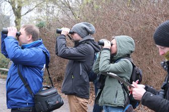 Wo am Wochenende im Vogtland Wintervögel gezählt werden - Teilnehmer einer Vogelzählung blicken durch Ferngläser. Möglich ist dies am Wochenende unter anderem in Plauen und bei Schleiz.