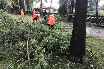Wo Auerbachs Feuerwehr nach Hagel helfen muss - Die Rebesgrüner Feuerwehr beim Zersägen von umgestürzten Bäumen in der Nähe des Auerbacher Neubaugebietes.