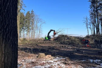 Wo Bäume in Reichenbach für die neue Hochspannungstrasse weichen müssen - Mitarbeiter des Umweltservice Willgeroth aus Rodewisch beräumen die Schneise „An der Schwarzen Katz“.