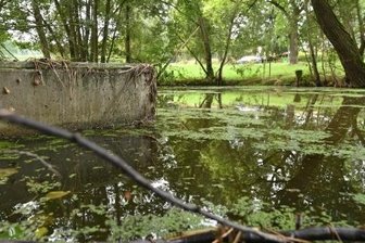 Wo das Löschwasser bei einem Brand knapp werden könnte - Der Löschwasserteich in Heiersdorf ist undicht und verschlammt. Im Brandfall könnte es dort mit dem Löschwasser Probleme geben. 