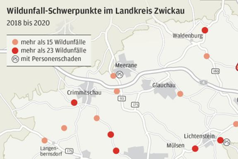 Wo die meisten Wildunfälle passieren - 