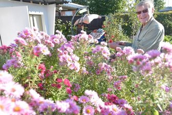 Wo einst die Häuer in ihre Grube zogen - Der 82-jährige Klaus Dürr bewirtschaftet seit 1970 seinen Garten in der Anlage "Häuersteig" am Forstweg in Freiberg. Die Parzelle ist zu jeder Jahreszeit ein Schmuckstück, hier im Spätsommer. 