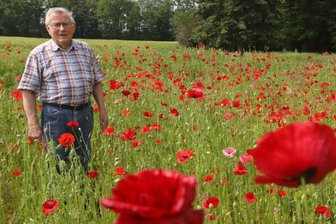 Wo einst Gemüse wuchs, blüht jetzt der Mohn - 