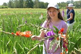 Wo es im Raum Freiberg und Flöha Blumenfelder gibt - Das Sonnenblumen-Gladiolenfeld an der B 173 bei Oberschöna, im Bild Finja Kempe aus Freiberg.