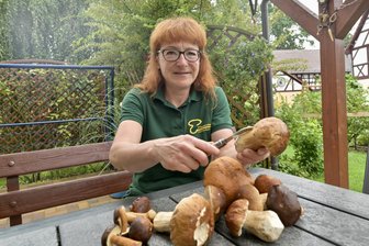 Wo können Zwickauer in der Stadt und Umgebung Pilze finden? Experten aus der Region geben Tipps - Claudia Rudolph aus Mosel engagiert sich ehrenamtlich als Pilzberaterin.