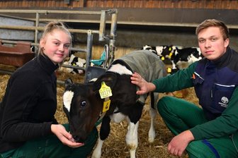 Wo schon die Siegerkuh "Miss Sachsen" gemolken wurde - Aimy Junghans und Rico Hainich im Kälberstall der Agrargenossenschaft in Cunnersdorf. Die 17-Jährige aus Bockendorf hat eine Lehre als Landwirtin begonnen. Sie mag den Umgang mit Tieren. Rico ist als Sohn des Vorstandsvorsitzenden mit Landwirtschaft groß geworden und heute Leiter der Milchviehanlage.