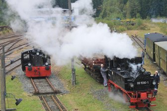 Wochenend-Tipps für das Obere Vogtland: Bahn-Jubiläum, Kettensäger und Truck Stop - Großes Bahnjubiläum gibt es am Wochenende: In Wilzschhaus (Foto), Carlsfeld und Schönheiderhammer werden 150 Jahre Eisenbahn Chemnitz-Aue-Adorf mit vielen Veranstaltungen gefeiert.
