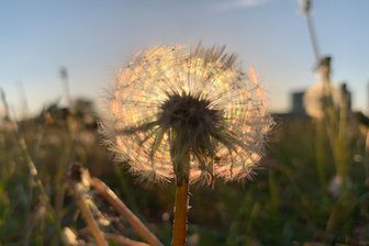 Wochenende wird frühsommerlich -