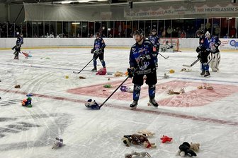 Wölfe freuen sich auf fliegende Plüschtiere: Aktion im Eisstadion dient gutem Zweck - Hatten mit dem „Abräumen“ für einen guten Zweck auch in der Vergangenheit stets viel zu tun: Die Schönheider Wölfe fiebern nun dem nächsten Teddy-Toss-Tag entgegen.