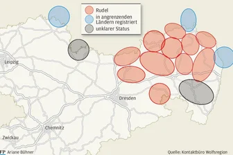 Wölfe reißen mehr Schafe -