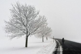 Wohin das Leben führt - Einreichung für den Fotowettbewerb der Freien Presse.